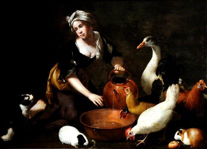 Giovanni Agostino Cassana (1658-1720) (attributed to) - A Young Cookmaid Watering Poultry, with a Cat and Guinea Pigs - 290411 - National Trust