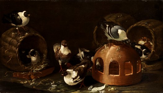 Giovanni Agostino Cassana Tauben zwischen Körben
