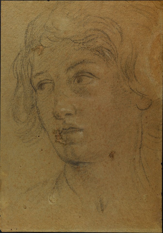 Giovanni Andrea Sirani - Cabeça de jovem (2)