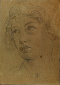 Giovanni Andrea Sirani - Cabeça de jovem (2)