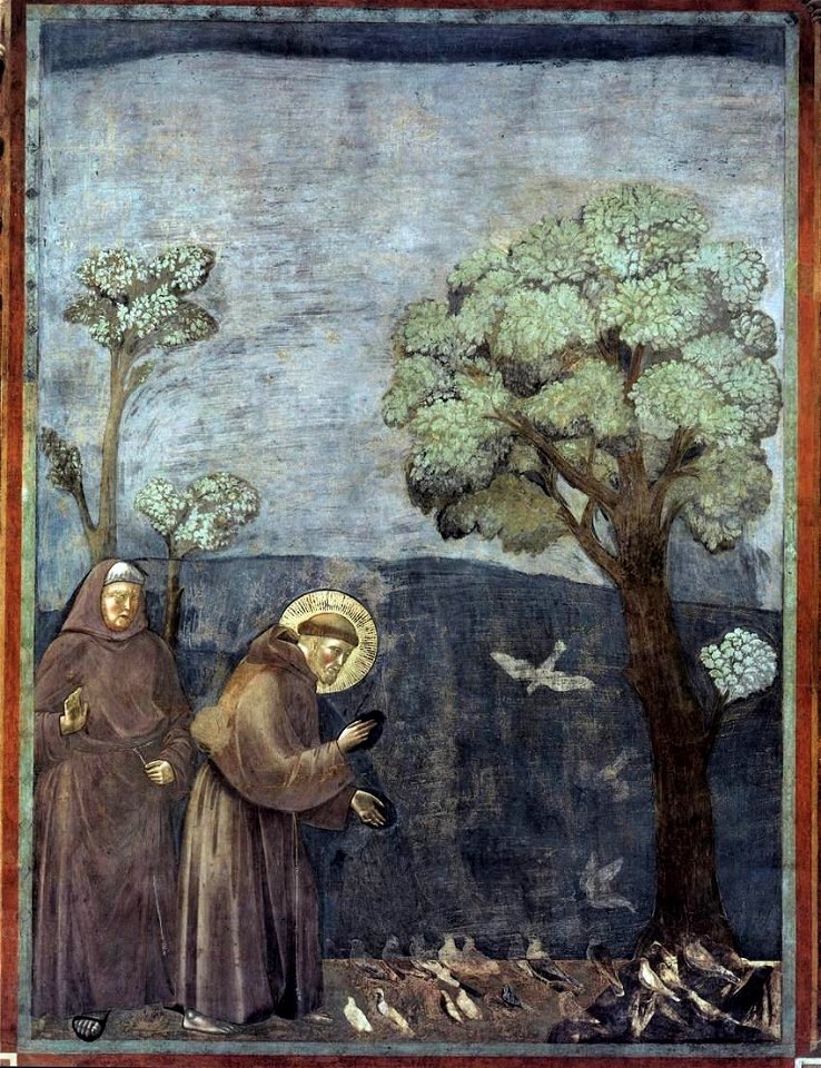 Giotto di Bondone - Legend of St Francis - 15. Sermon to the Birds - WGA09139