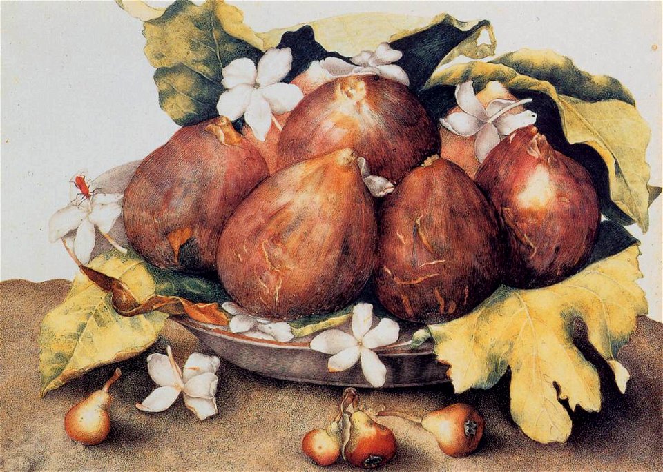 Giovanna Garzoni - Figs - WGA8492