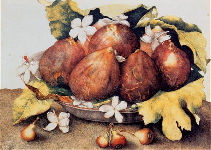 Giovanna Garzoni - Figs - WGA8492