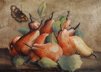 Giovanna Garzoni Stillleben mit Birnen und einem Schmetterling