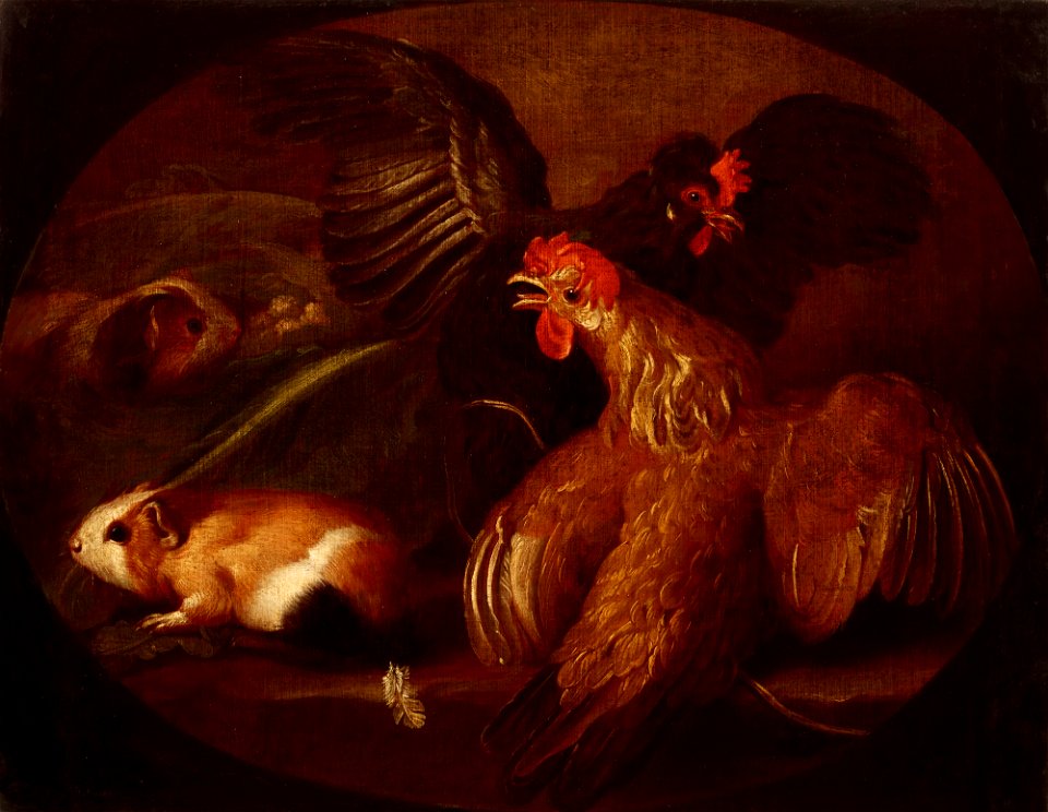 Giovanni Agostino Cassana - Hens and Guinea Pigs - MNK XII-A-142 - National Museum Kraków