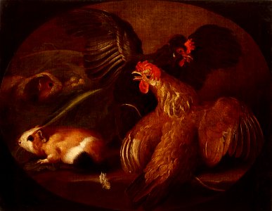 Giovanni Agostino Cassana - Hens and Guinea Pigs - MNK XII-A-142 - National Museum Kraków