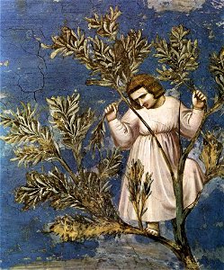 Giotto di Bondone - No. 26 Scenes from the Life of Christ - 10. Entry into Jerusalem (detail) - WGA09208