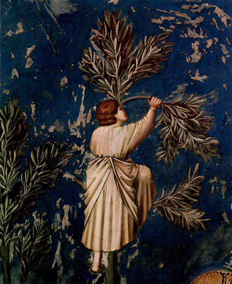 Giotto di Bondone 013