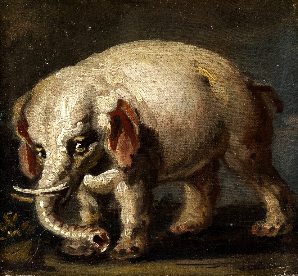 Giovanni Antonio Guardi (attr) Elefant