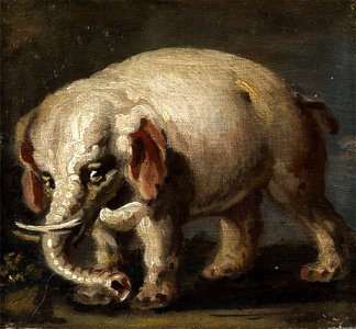 Giovanni Antonio Guardi (attr) Elefant