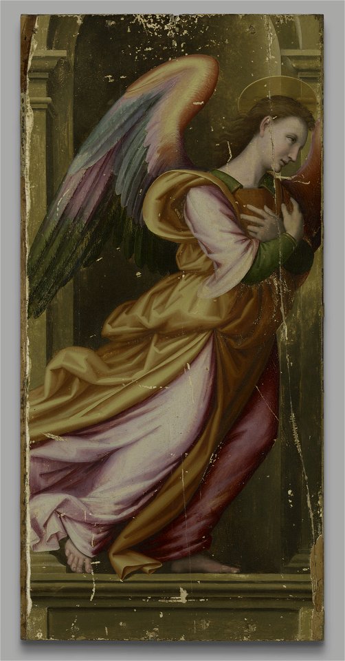 Giovanni Antonio di Francesco Sogliani - Angel in Adoration - 1871.77 - Yale University Art Gallery