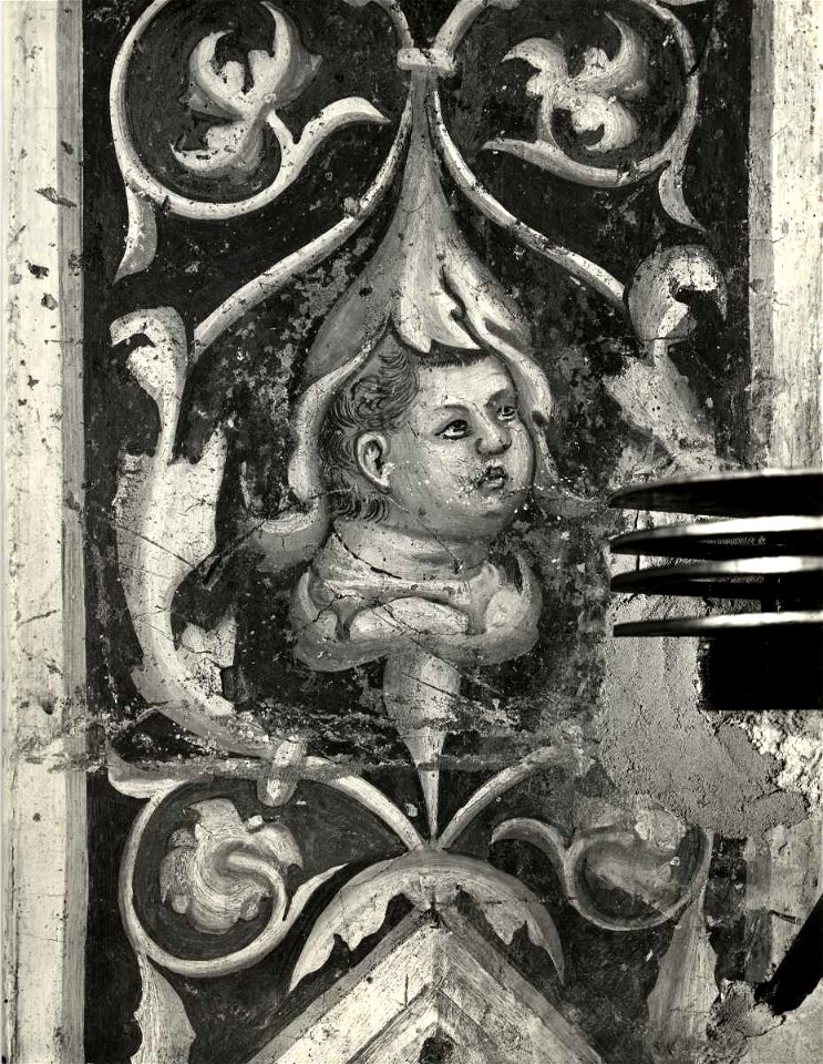 Giotto di Bondone, Motivi decorativi a girali vegetali e putti, 12152 gw