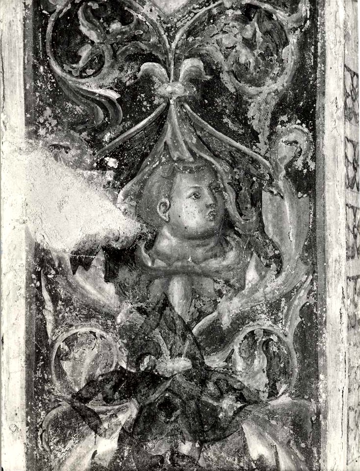 Giotto di Bondone, Motivi decorativi a girali vegetali e putti, 12142 gw