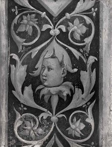 Giotto di Bondone, Motivi decorativi a girali vegetali e putti, 12146 gw