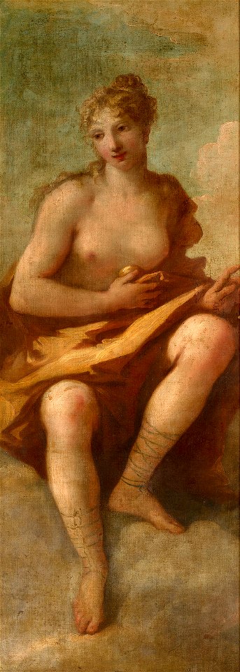 Giovanni Antonio Pellegrini (Venice 1675-Venice 1741) - Venus - RCIN 405485 - Royal Collection