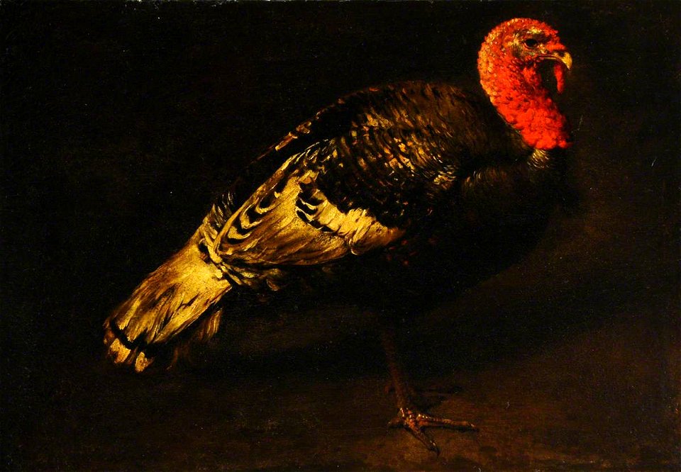 Giovanni Agostino Cassana (1658-1720) (style of) - A Turkey Cock - 290293 - National Trust