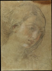 Giovanni Andrea Sirani - Cabeça de jovem