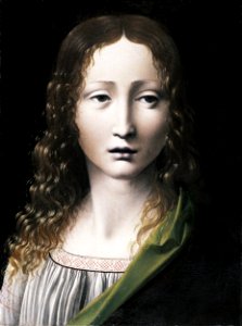 Giovanni Antonio Boltraffio - The Adolescent Saviour - Google Art Project