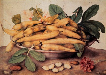 Giovanna Garzoni - Plate of Peas - WGA8493
