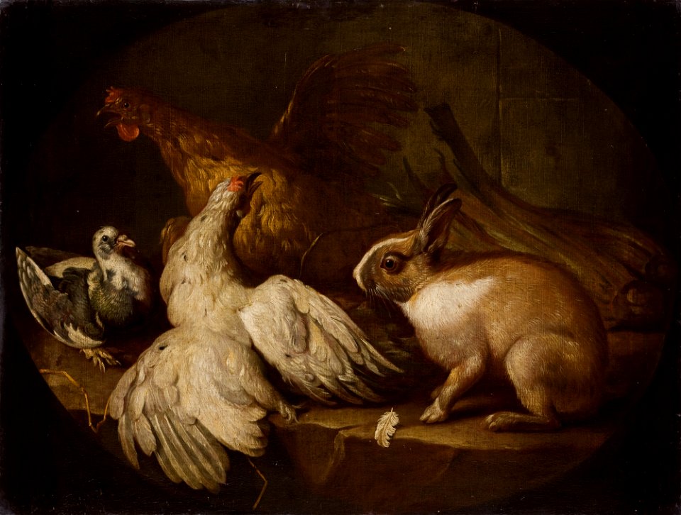 Giovanni Agostino Cassana - Hens, a Pigeon and a Rabbit - MNK XII-A-143 - National Museum Kraków