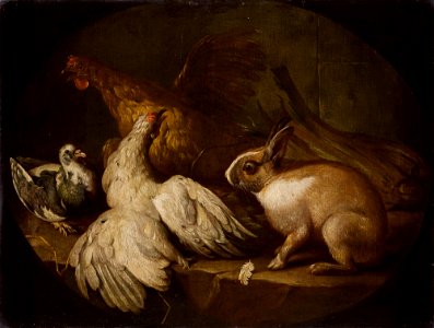 Giovanni Agostino Cassana - Hens, a Pigeon and a Rabbit - MNK XII-A-143 - National Museum Kraków