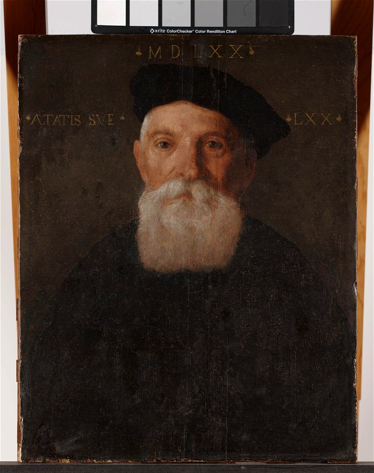 Giovanni Battista Moroni - Portrait of Old Man - 1961.179 - Dallas Museum of Art