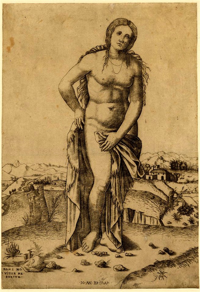 Giovanni Antonio da Brescia Venus