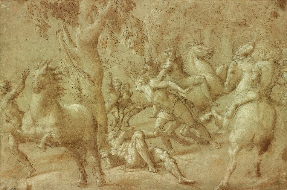 Giovanni Antonio de Sacchis (Il Pordenone) - Conversion of St. Paul - Google Art Project