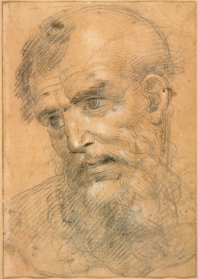 Giovanni Antonio Sogliani - Head of a Bearded Man (recto); Study for a sacra conversazione (verso) - Google Art Project