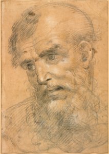 Giovanni Antonio Sogliani - Head of a Bearded Man (recto); Study for a sacra conversazione (verso) - Google Art Project