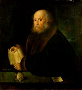 Giovanni Busi, gen. Cariani - Bildnis eines Nürnberger Patriziers - GG 6434 - Kunsthistorisches Museum