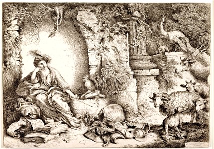 Giovanni Benedetto Castiglione - Circe Changing Ulysses' Men into Beasts - Google Art Project