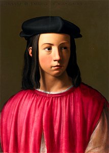 Giovanni Gaddi (1493-1542), by Florentine School of the 16th century. Free illustration for personal and commercial use.