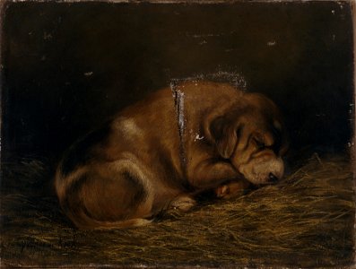 Etude-de-chien-yvonne-de-kock-musee-d-art-et-d-histoire-de-saint-brieuc-doc-58-cropped