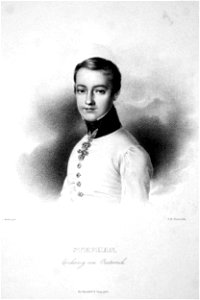 Etrzherzog Stephan von Österreich Litho