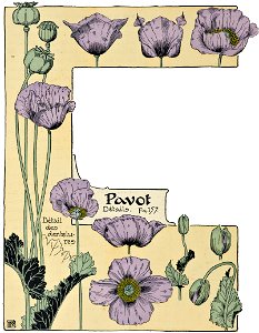 Etude de la plante - p.118 fig.157 - Pavot
