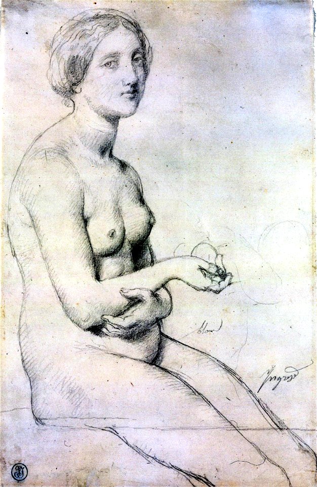 Etude Venus a Paphos Ingres 1852