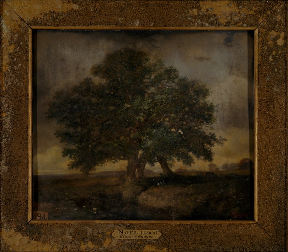 Etude-de-chenes-louis-noel-musee-d-art-et-d-histoire-de-saint-brieuc-doc-194-cropped