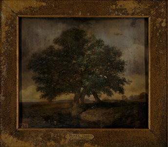 Etude-de-chenes-louis-noel-musee-d-art-et-d-histoire-de-saint-brieuc-doc-194-cropped