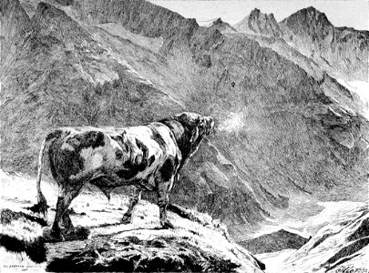 Eugene Burnand Taureau dans les Alpes