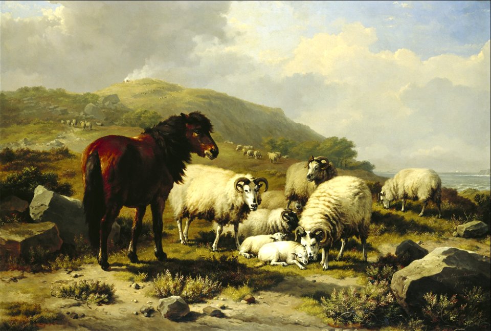 Eugene Joseph Verboeckhoven - Landscape with Sheep - 56.280 - Detroit Institute of Arts