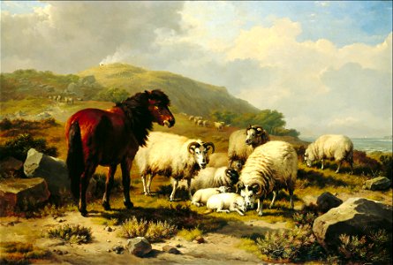 Eugene Joseph Verboeckhoven - Landscape with Sheep - 56.280 - Detroit Institute of Arts