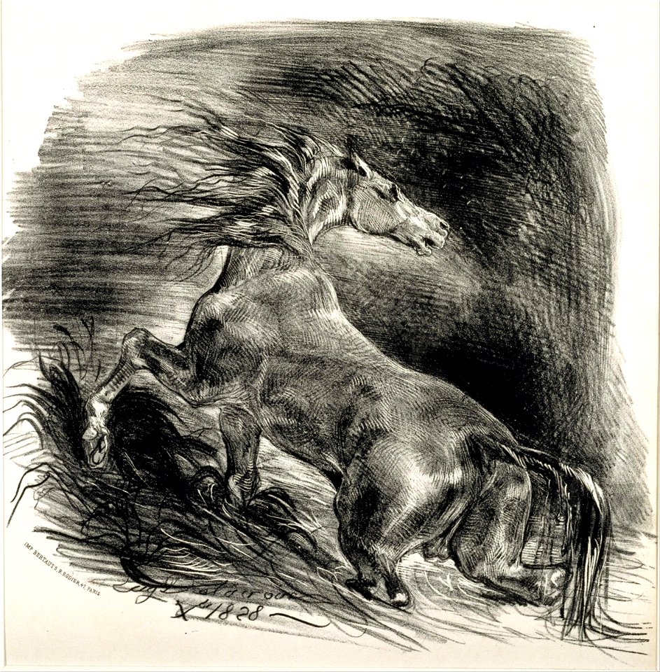 Eugène Delacroix - Cheval sauvage - Google Art Project