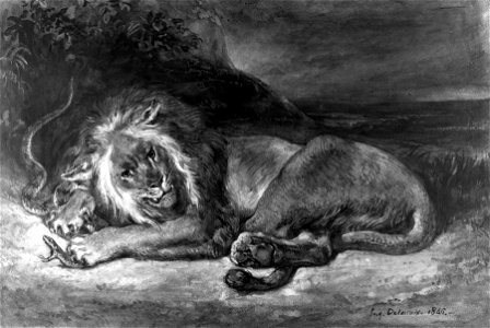 Eugène Delacroix - Lion and Snake - Walters 371219. Free illustration for personal and commercial use.