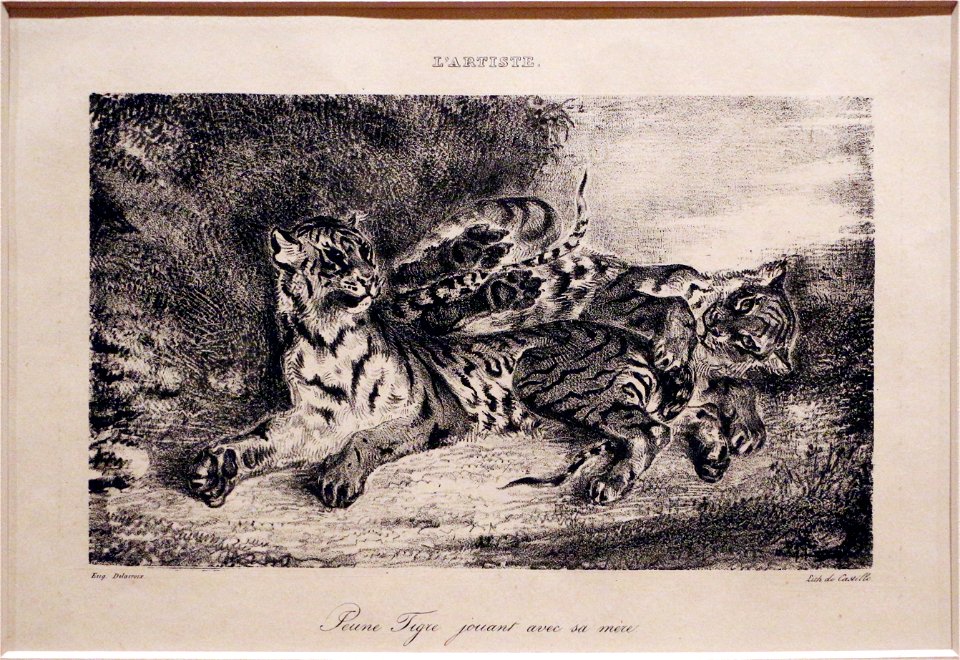 Eugène delacroix, giovane tigre che gioca con la madre, da l'artista, 1831, litografia