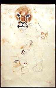 Eugène delacroix, testa e zampe di leone, s.d., acquerello e matita