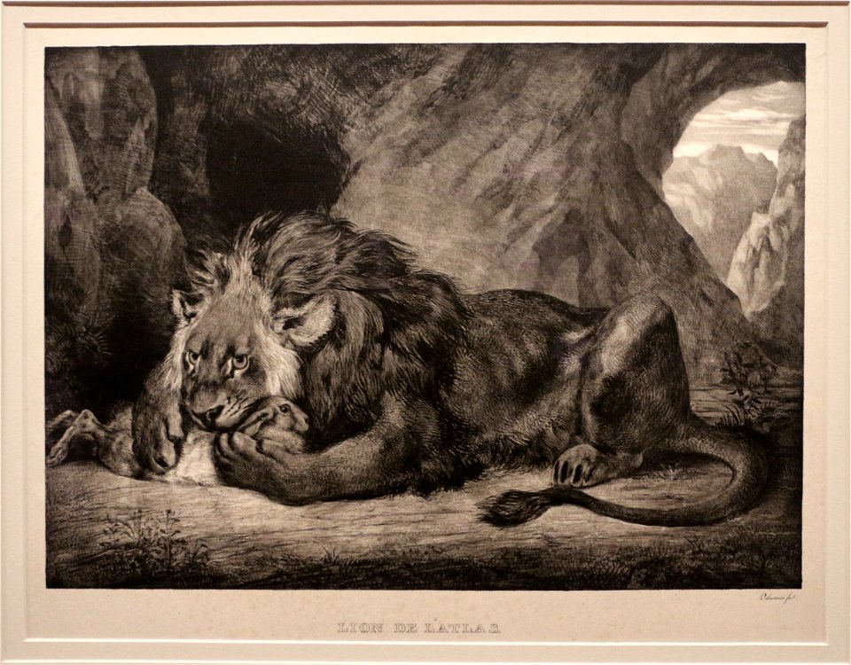 Eugène delacroix, leone sui monti dell'atlante, 1829, litografia