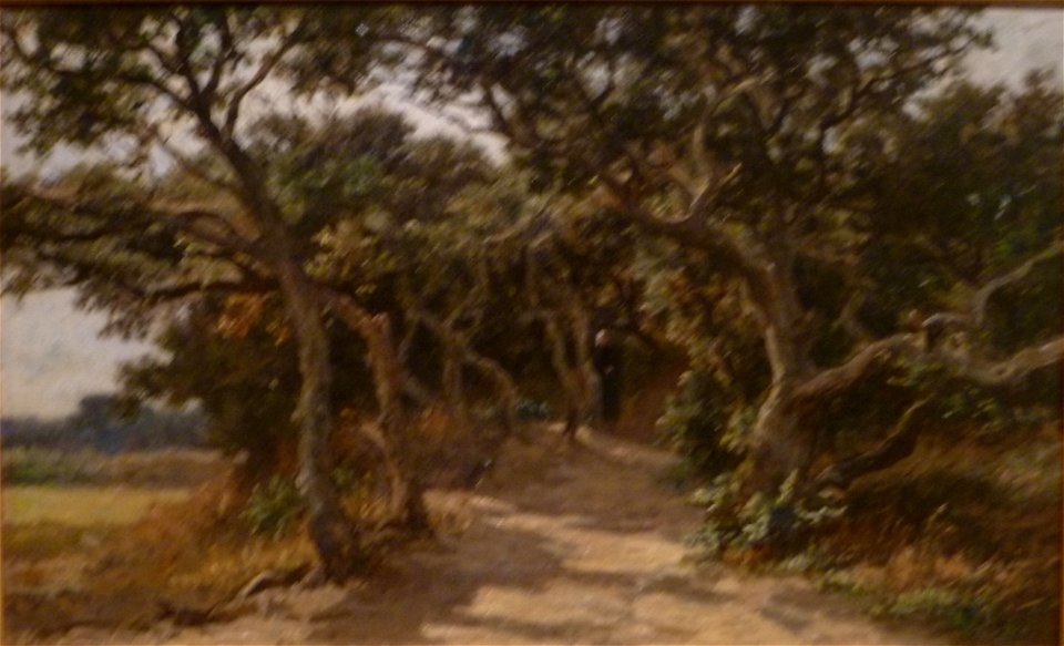 Euphrosine Beernaert (1873)- Duinenbosjes in Domburg (Walcheren)