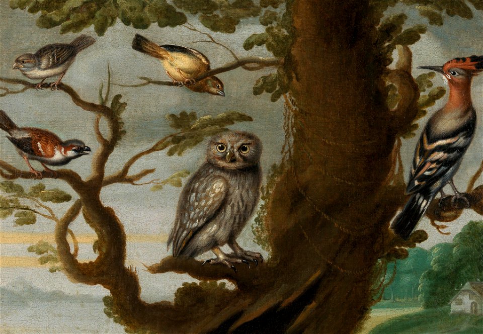 Eule und Wiedehopf auf einem Baum flämisch 17Jh