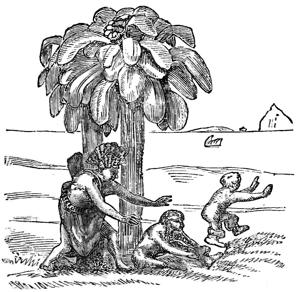 Evidence as to Man's Place in Nature page 9